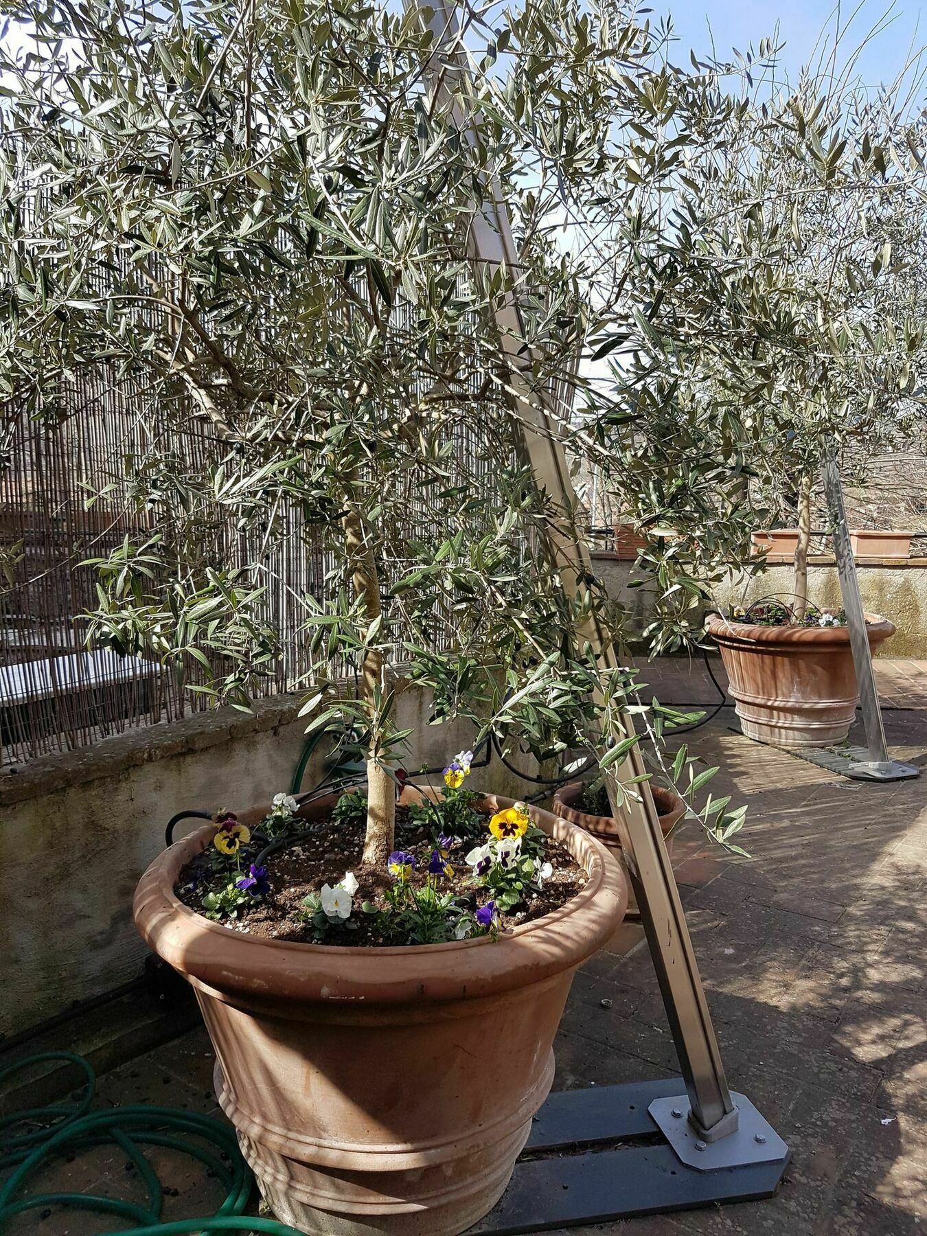 Apartment Casa Bardi
